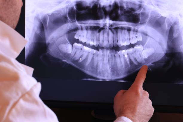 Best Emergency X-Rays and Diagnostics in Morehead City, NC